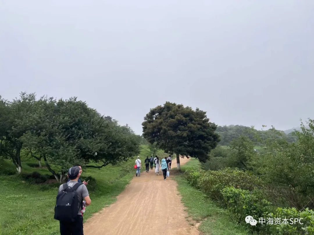 凝心聚力,笃行緻遠(yuǎn)——中海(hǎi)資本2023年(nián)馬巒山團建圓滿舉行 凝心聚力,笃行緻遠(yuǎn)——中海(hǎi)資本2023年(nián)馬巒山團建圓滿舉行